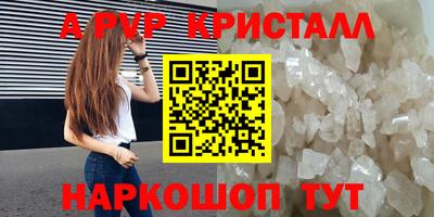мдпв Новозыбков