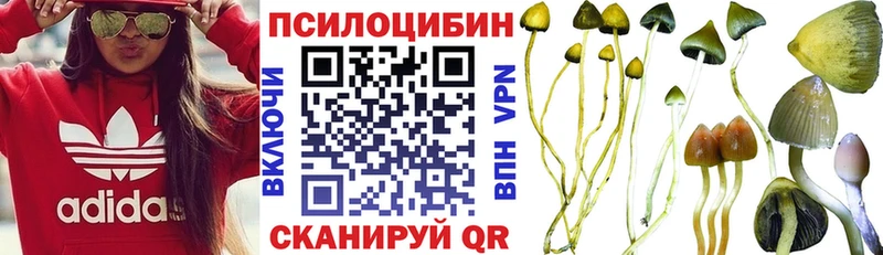 это как зайти Электросталь Псилоцибиновые грибы Psilocybine cubensis